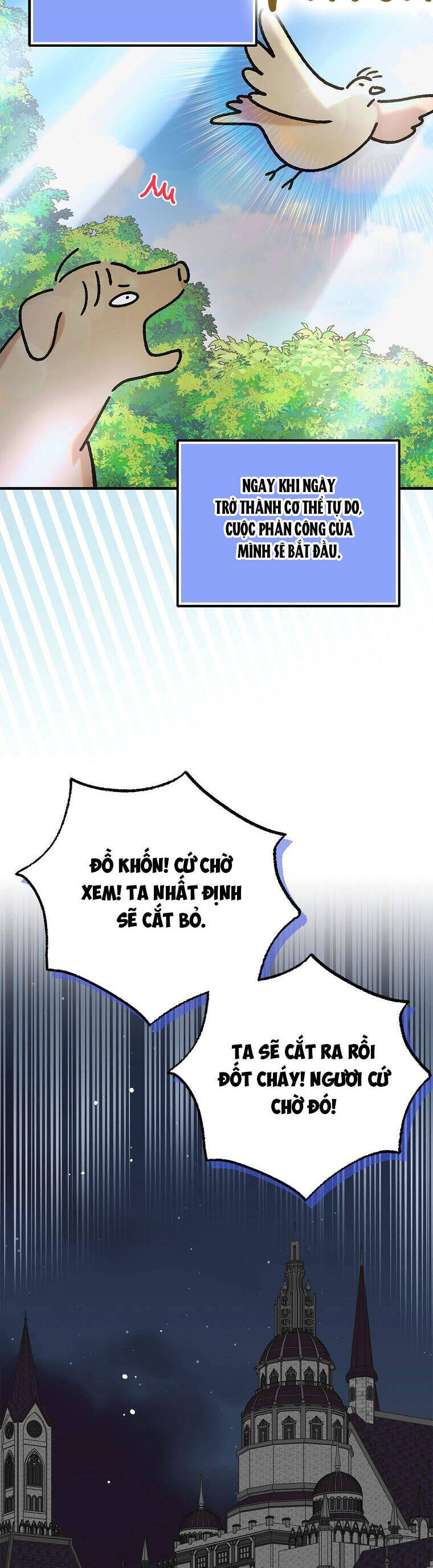 Cách Để Em Bảo Vệ Anh Chap 100 - Next Chap 101