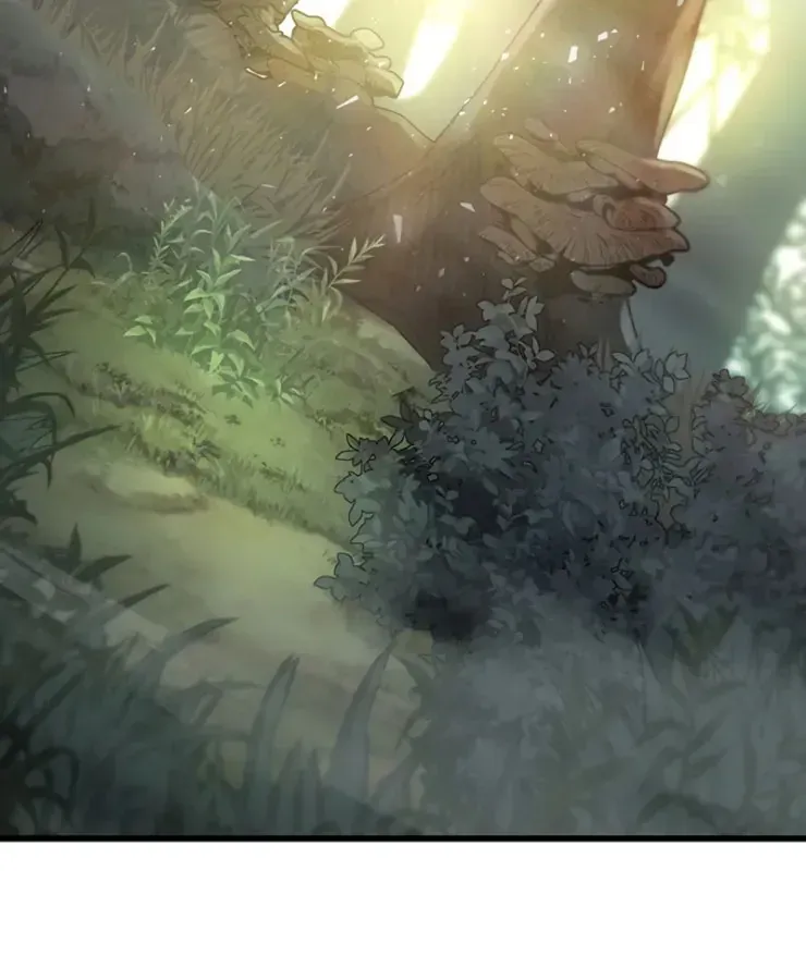 Cách Sinh Tồn Của Thợ Săn Ma Thú Chap 2 - Next Chap 3