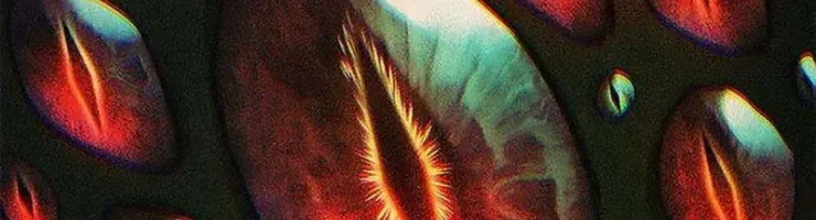 Cách Sinh Tồn Của Thợ Săn Ma Thú Chap 7 - Next Chap 8