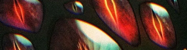 Cách Sinh Tồn Của Thợ Săn Ma Thú Chap 8 - Next Chap 9