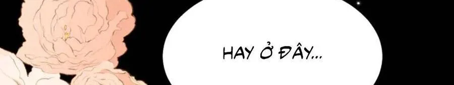 Cách Thức Sinh Tồn Của Pháo Hôi Khuê Nữ Chap 381 - Next Chap 382