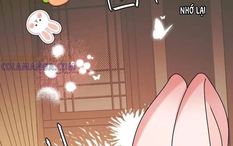 Cách Thức Sinh Tồn Của Pháo Hôi Khuê Nữ Chap 382 - Next Chap 383