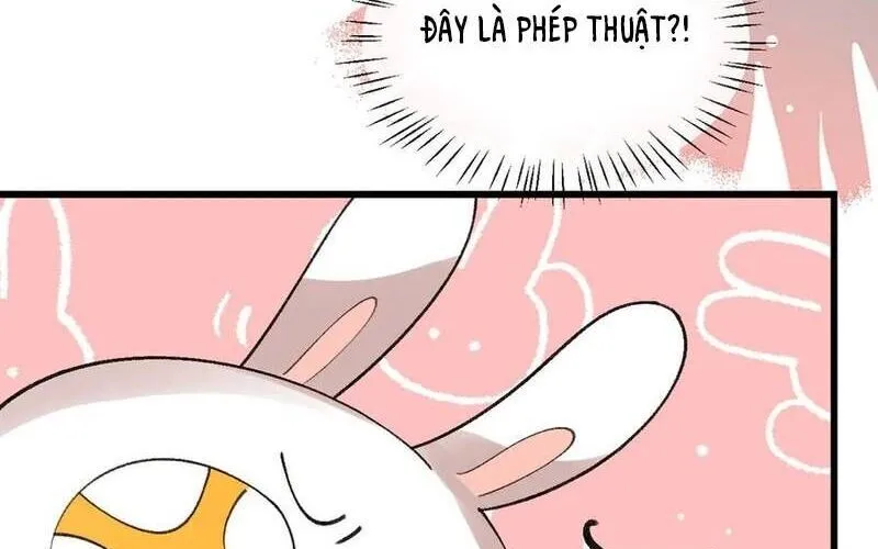 Cách Thức Sinh Tồn Của Pháo Hôi Khuê Nữ Chap 386 - Next Chap 387