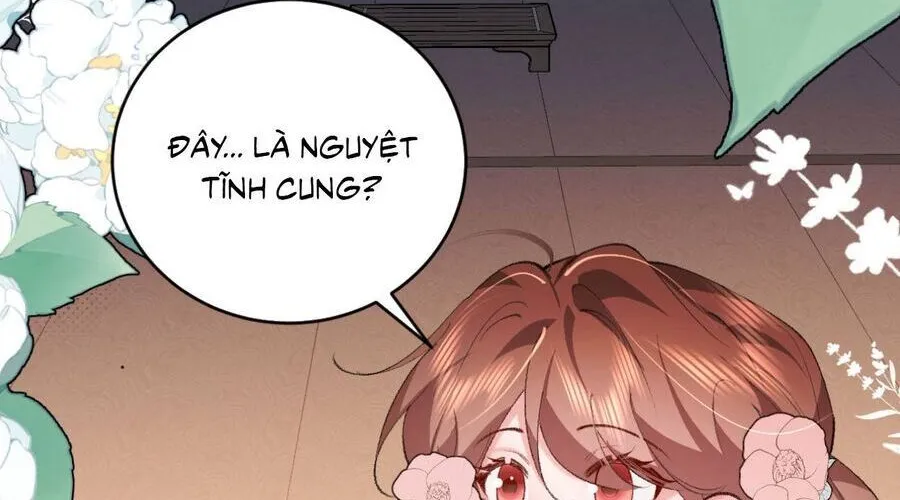 Cách Thức Sinh Tồn Của Pháo Hôi Khuê Nữ Chap 389 - Next Chap 390