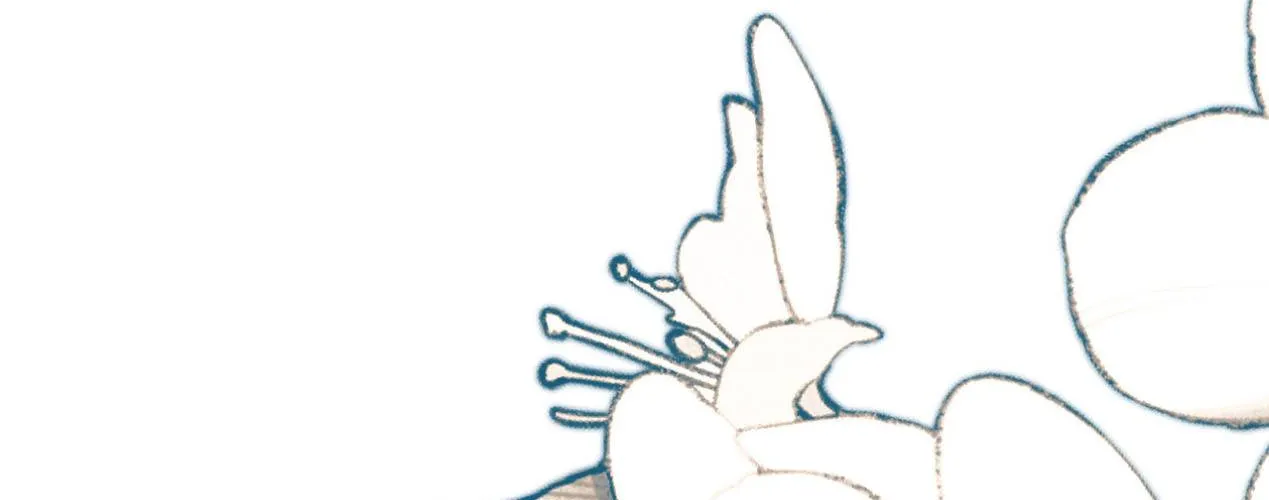 Cách Thức Sinh Tồn Của Pháo Hôi Khuê Nữ Chap 395 - Next Chap 396