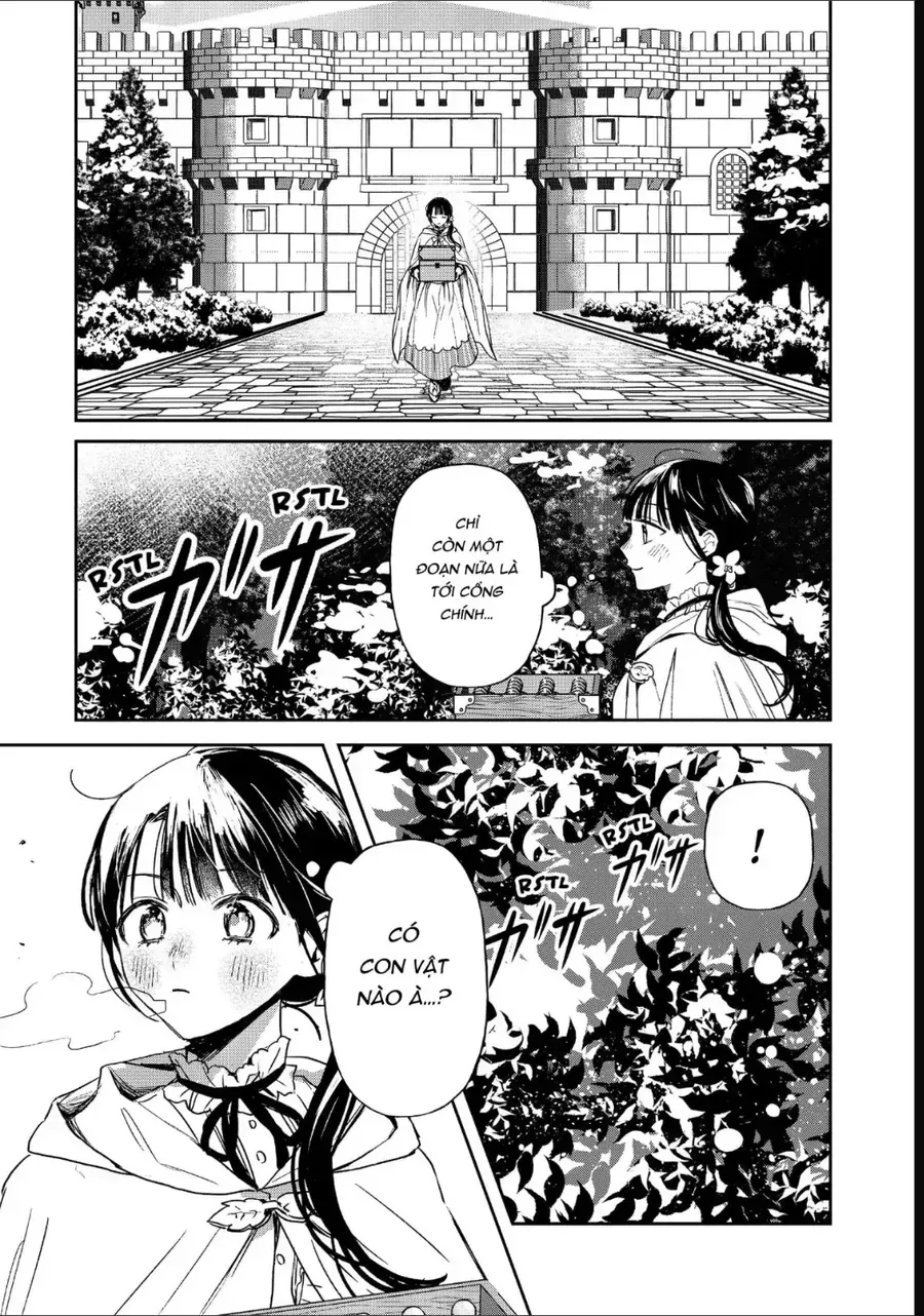 Cafe Sách Nơi Dị Giới Chap 14 - Next Chap 15