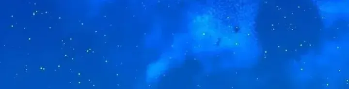 Cái Kết Hạnh Phúc Sau Khi Trả Thù Chap 32 - Next Chap 33