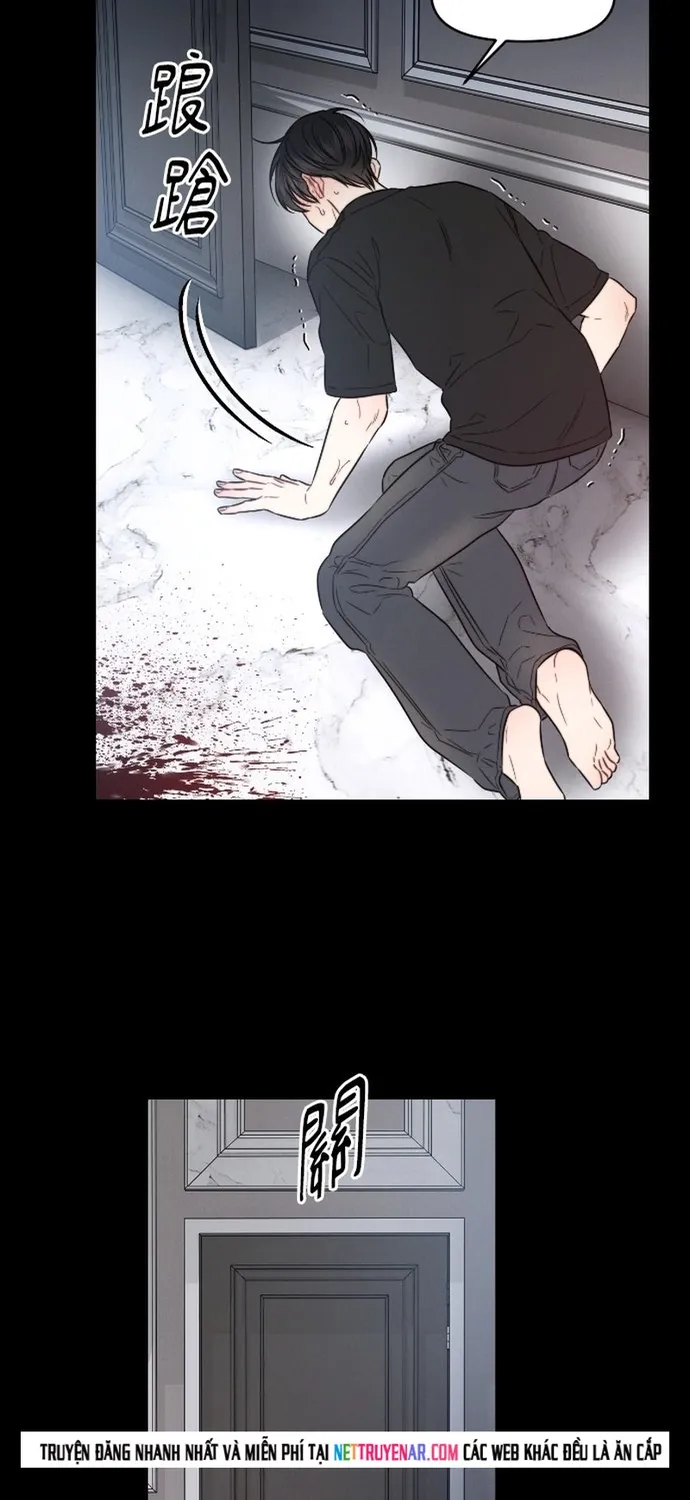 Cạm Bẫy Thanh Lịch Chap 105 - Next Chap 106