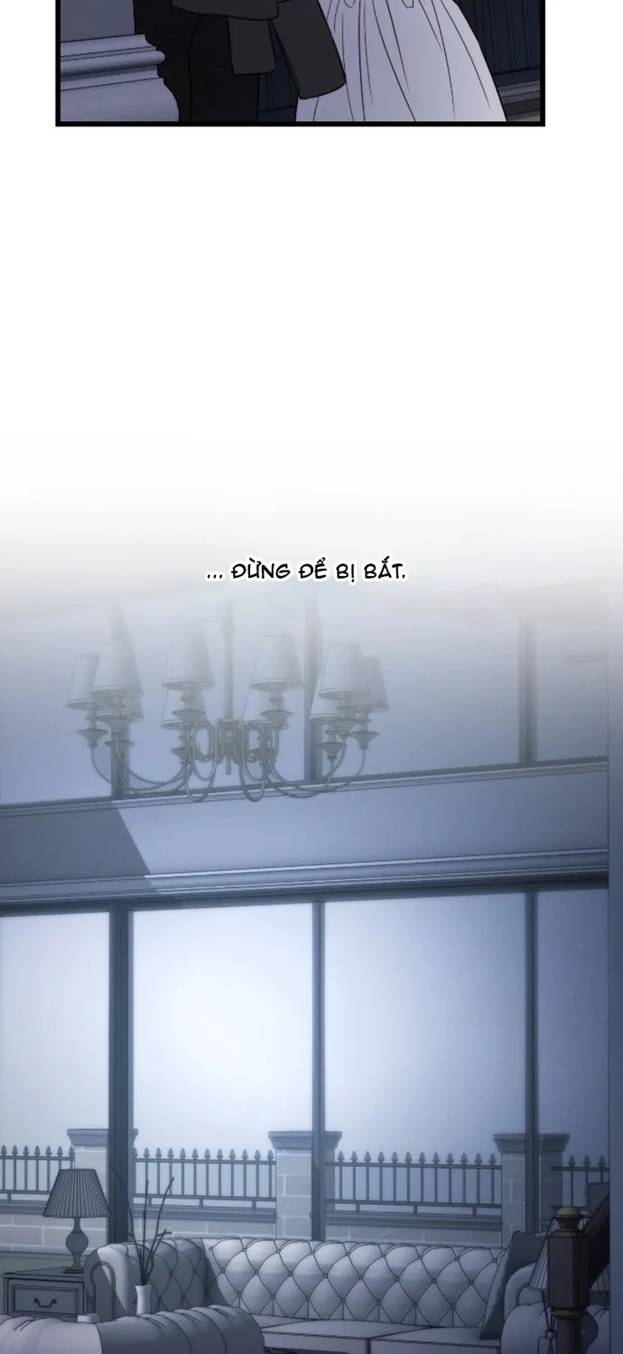 Cạm Bẫy Thanh Lịch Chap 105 - Next Chap 106