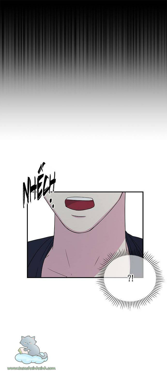 Cạm Bẫy Chap 11 - Next Chap 12