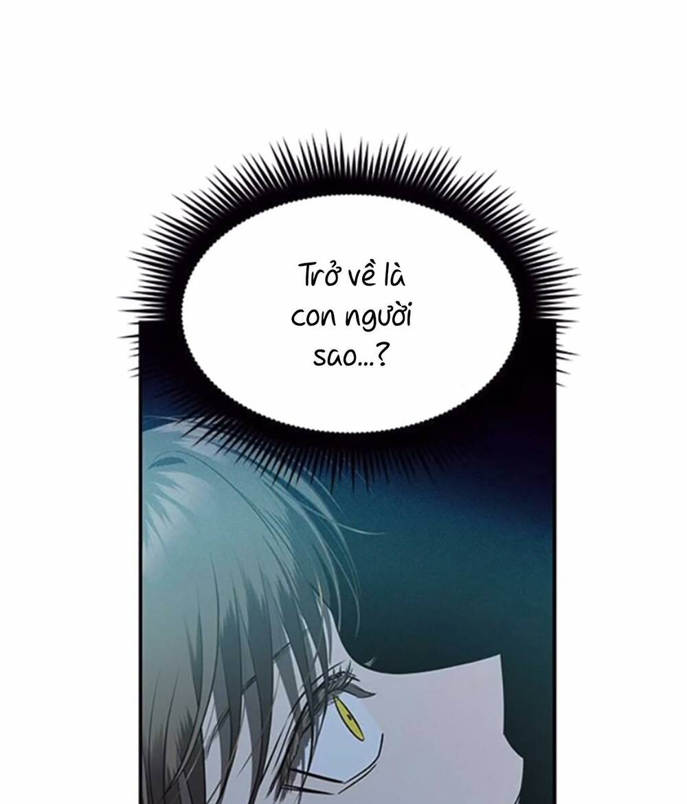 Cạm Bẫy Chap 147 - Next Chap 148