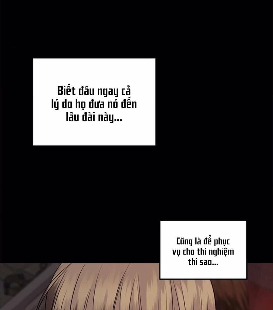 Cạm Bẫy Chap 154 - Next Chap 155