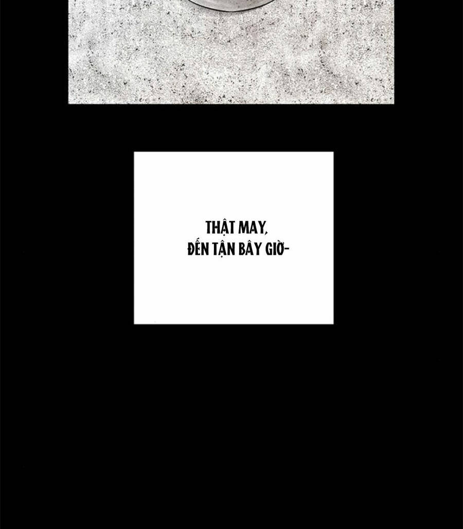 Cạm Bẫy Chap 168.1 - Next Chap 169.1