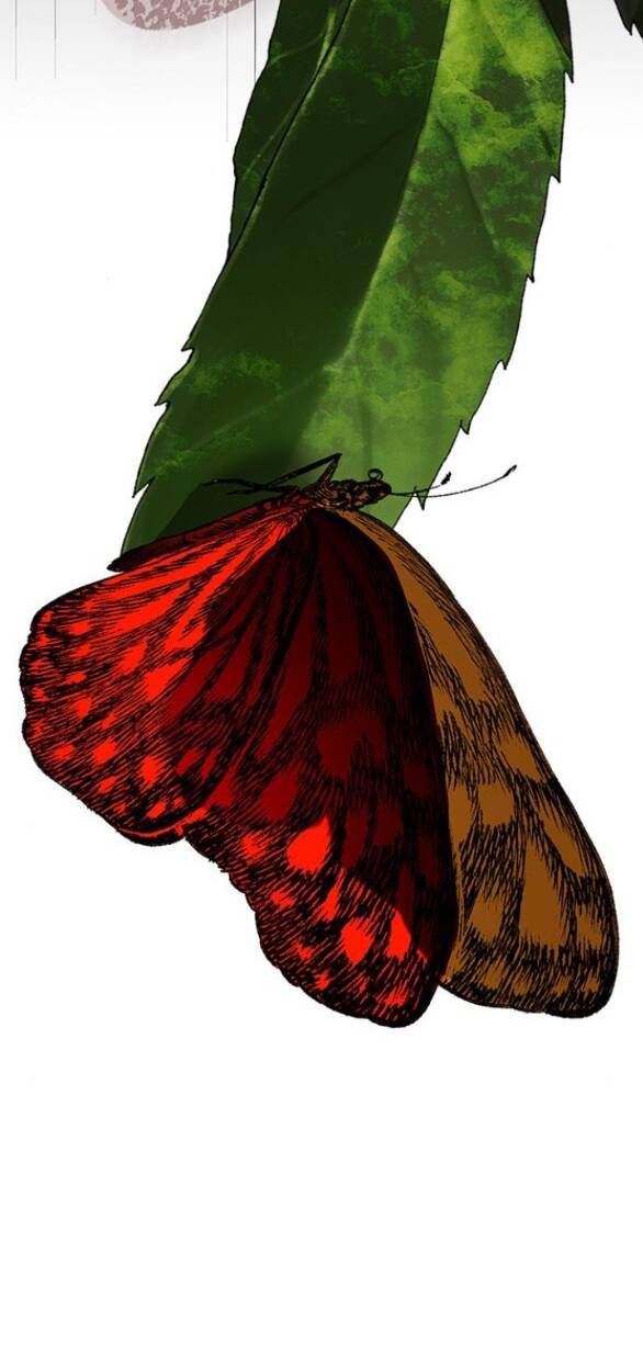 Cạm Bẫy Chap 178 - Next Chap 179