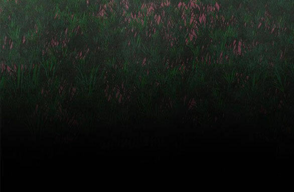 Cạm Bẫy Chap 180.2 - Next Chap 181.2