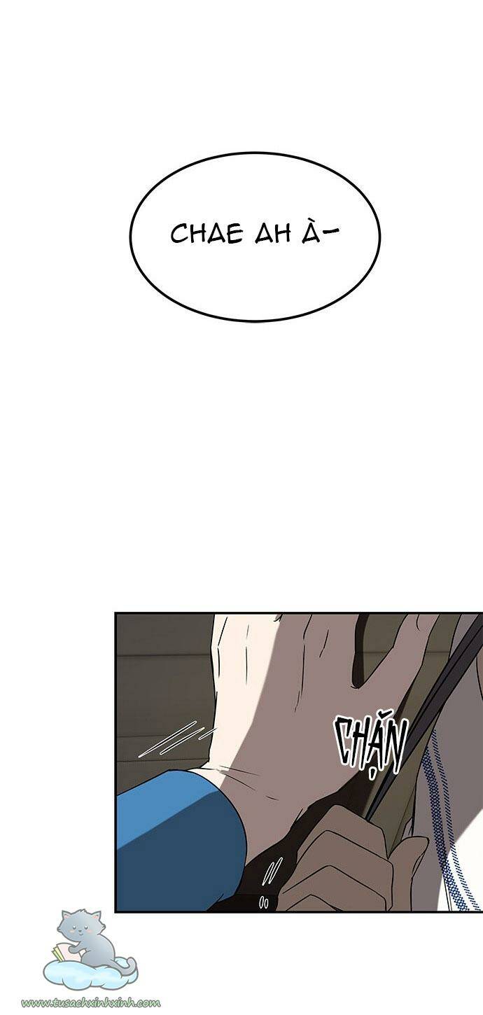 Cạm Bẫy Chap 37 - Next Chap 38