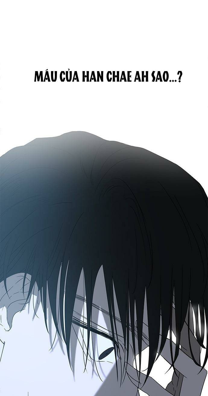 Cạm Bẫy Chap 51 - Next Chap 52