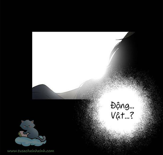 Cạm Bẫy Chap 65 - Next Chap 66