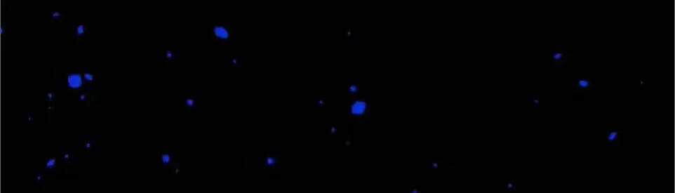 Cao Võ: Thiên Tài Chỉ Là Tiêu Chuẩn Để Gặp Ta Chap 11 - Next Chap 12