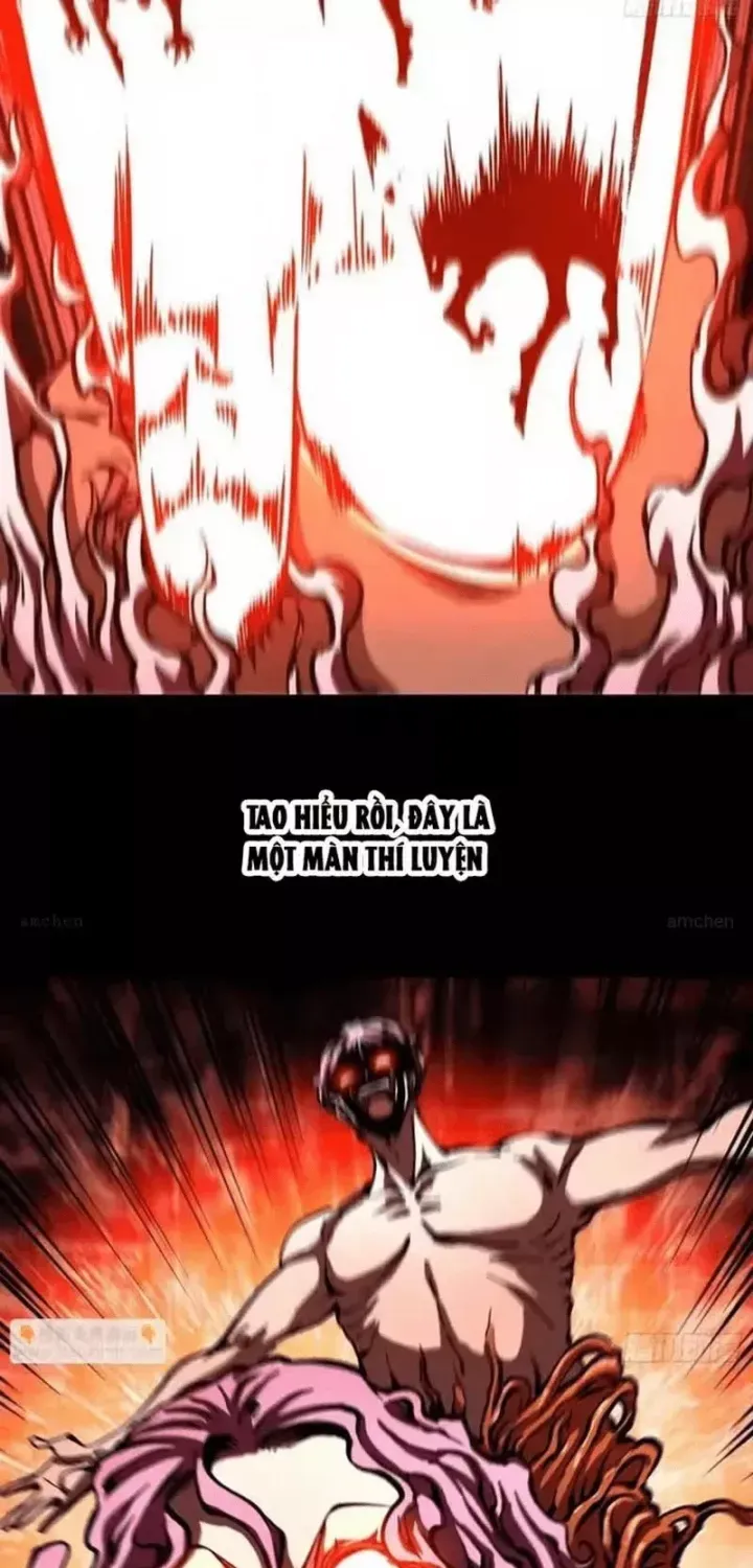 Cao Võ Tiến Hóa: Bắt Đầu Thức Tỉnh Quái Thú Chi Vương Chap 116 - Next Chap 117