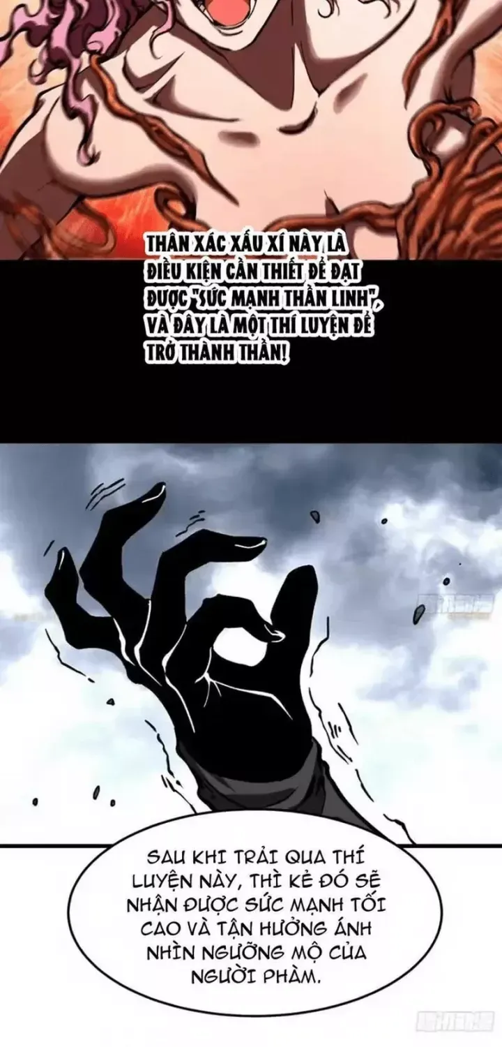 Cao Võ Tiến Hóa: Bắt Đầu Thức Tỉnh Quái Thú Chi Vương Chap 116 - Next Chap 117