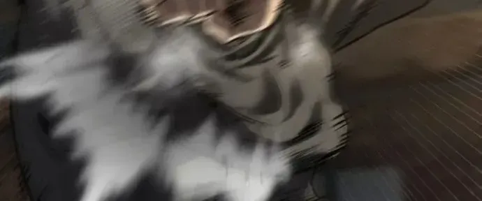 Cartel- Liên Minh Tội Ác Chap 3 - Next Chap 4