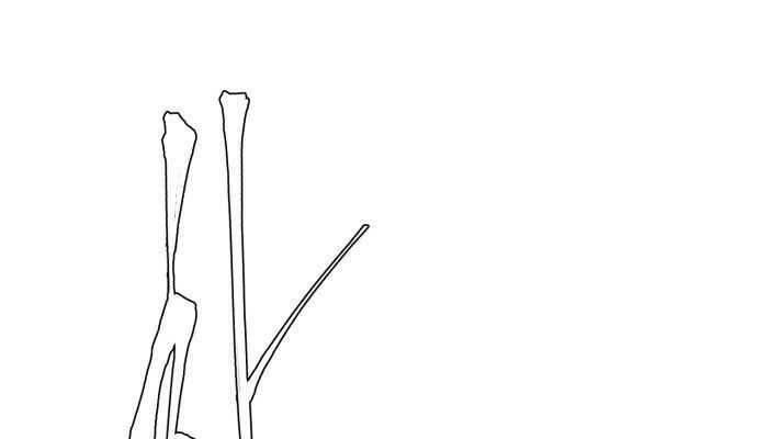 Cậu Bé Của Thần Chết Chap 3 - Next Chap 4