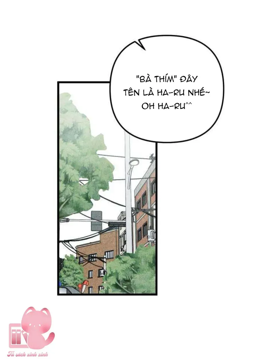 Câu Lạc Bộ Chị Đẹp Chap 9 - Next Chap 10