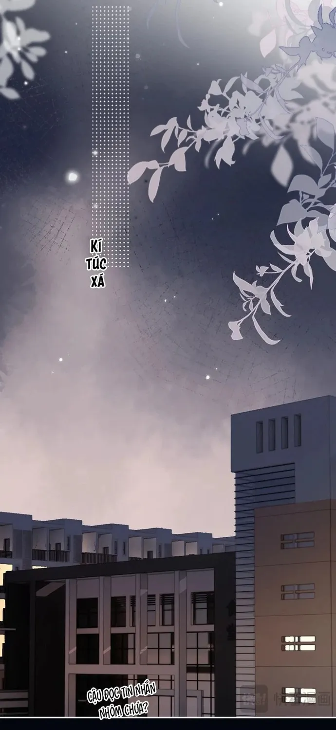 Cậu Vượt Giới Hạn Rồi Chap 41 - Next Chap 42