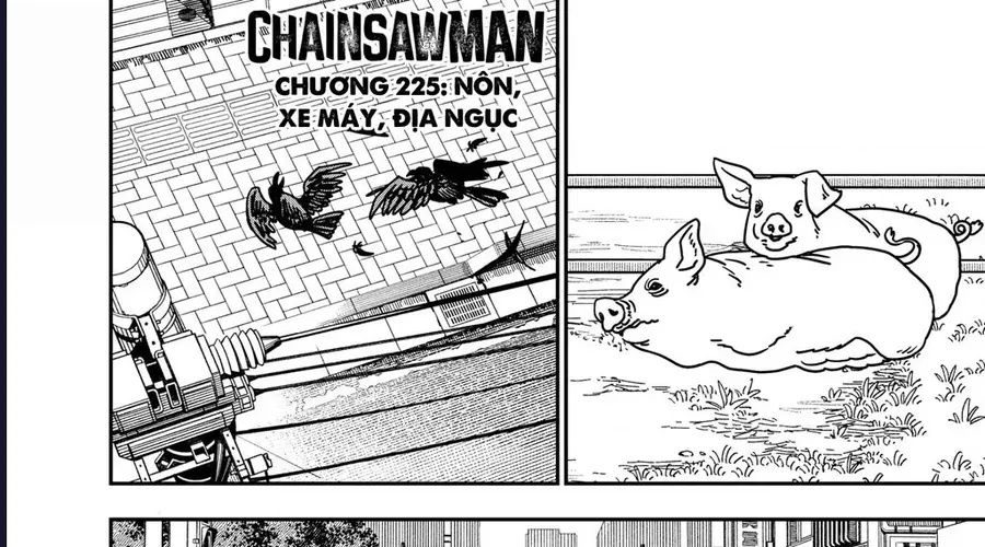 Chainsaw Man Chap 225 - Next Chap 226