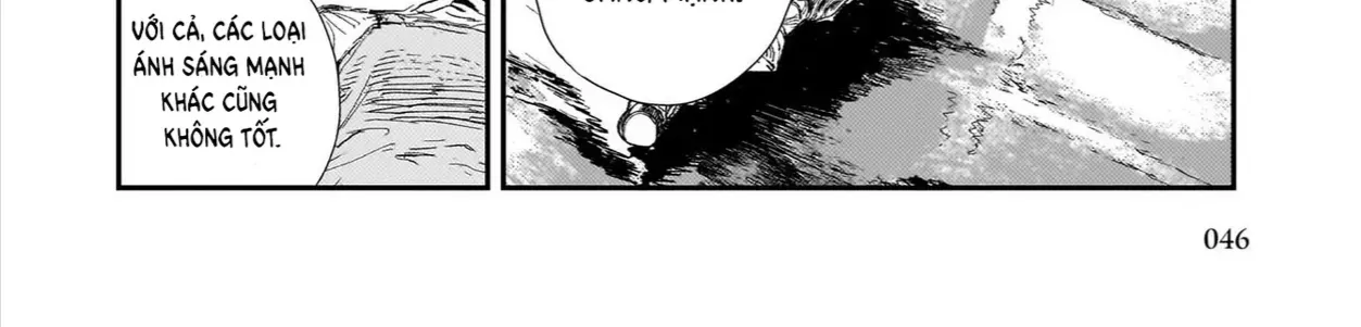 Chăm Sóc Tử Thi (Hết) Chap 1 - Next Chap 2