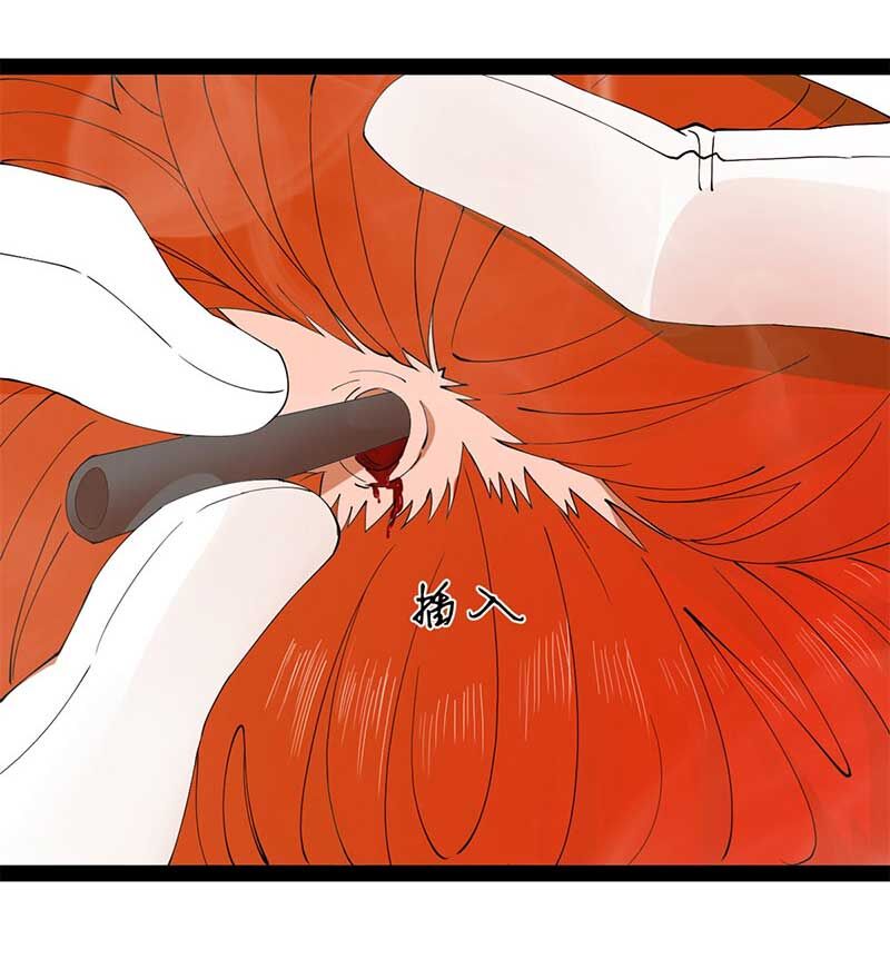 Chàng Rể Mạnh Nhất Lịch Sử Chap 138 - Next Chap 139