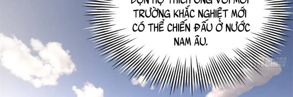 Chàng Rể Mạnh Nhất Lịch Sử Chap 392 - Next Chap 393