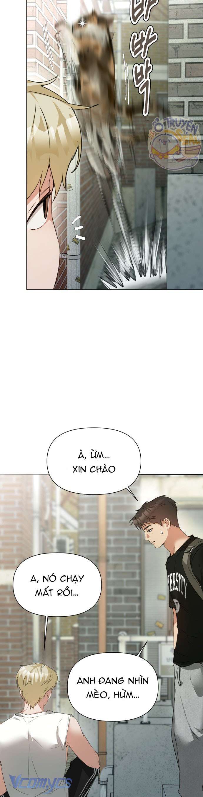 Chàng Romeo Của Chúng Ta Chap 5 - Next Chap 6
