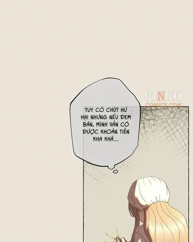 Chàng Tiên Cá Bị Giam Cầm Trong Hồ Nhà Tôi Chap 40 - Next Chap 41