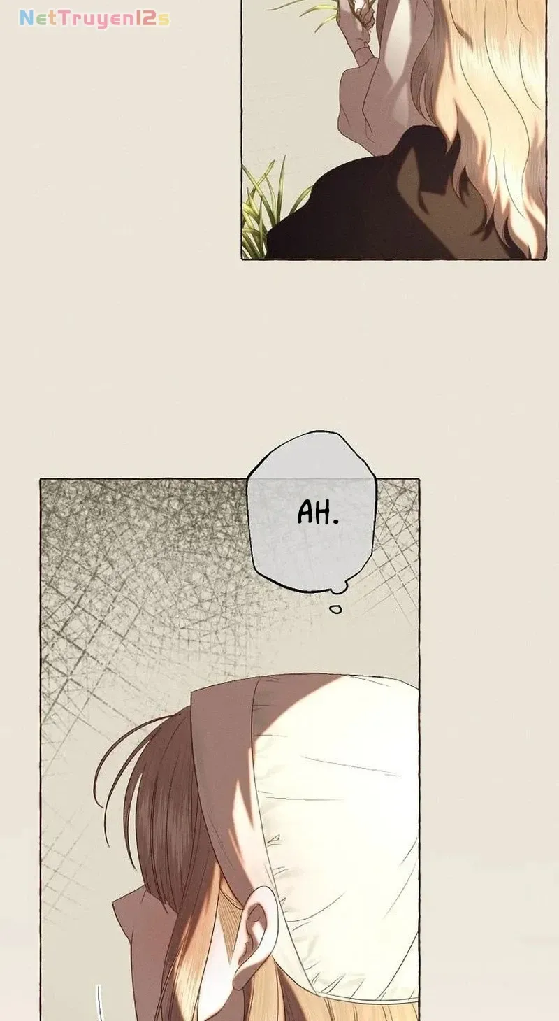 Chàng Tiên Cá Bị Giam Cầm Trong Hồ Nhà Tôi Chap 40 - Next Chap 41