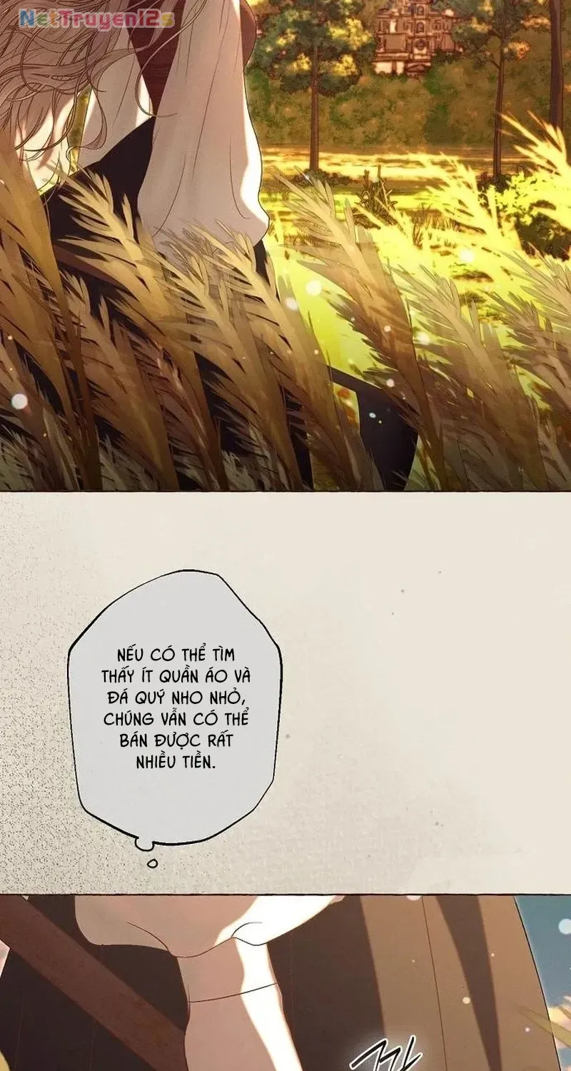 Chàng Tiên Cá Bị Giam Cầm Trong Hồ Nhà Tôi Chap 40 - Next Chap 41