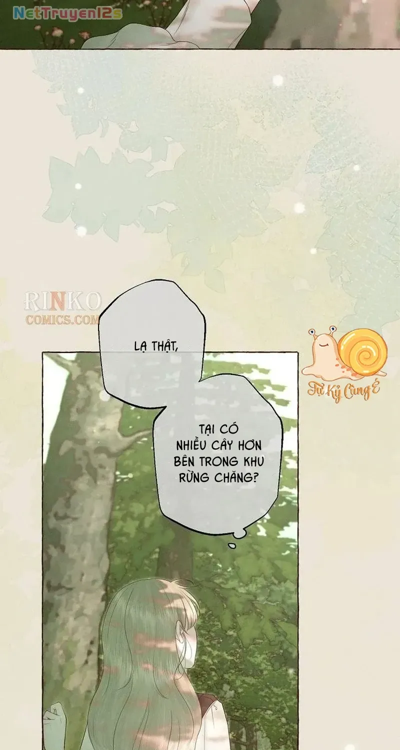 Chàng Tiên Cá Bị Giam Cầm Trong Hồ Nhà Tôi Chap 40 - Next Chap 41