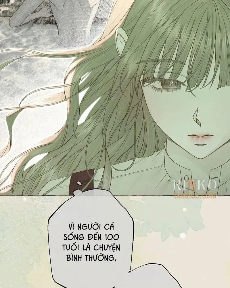 Chàng Tiên Cá Bị Giam Cầm Trong Hồ Nhà Tôi Chap 40 - Next Chap 41