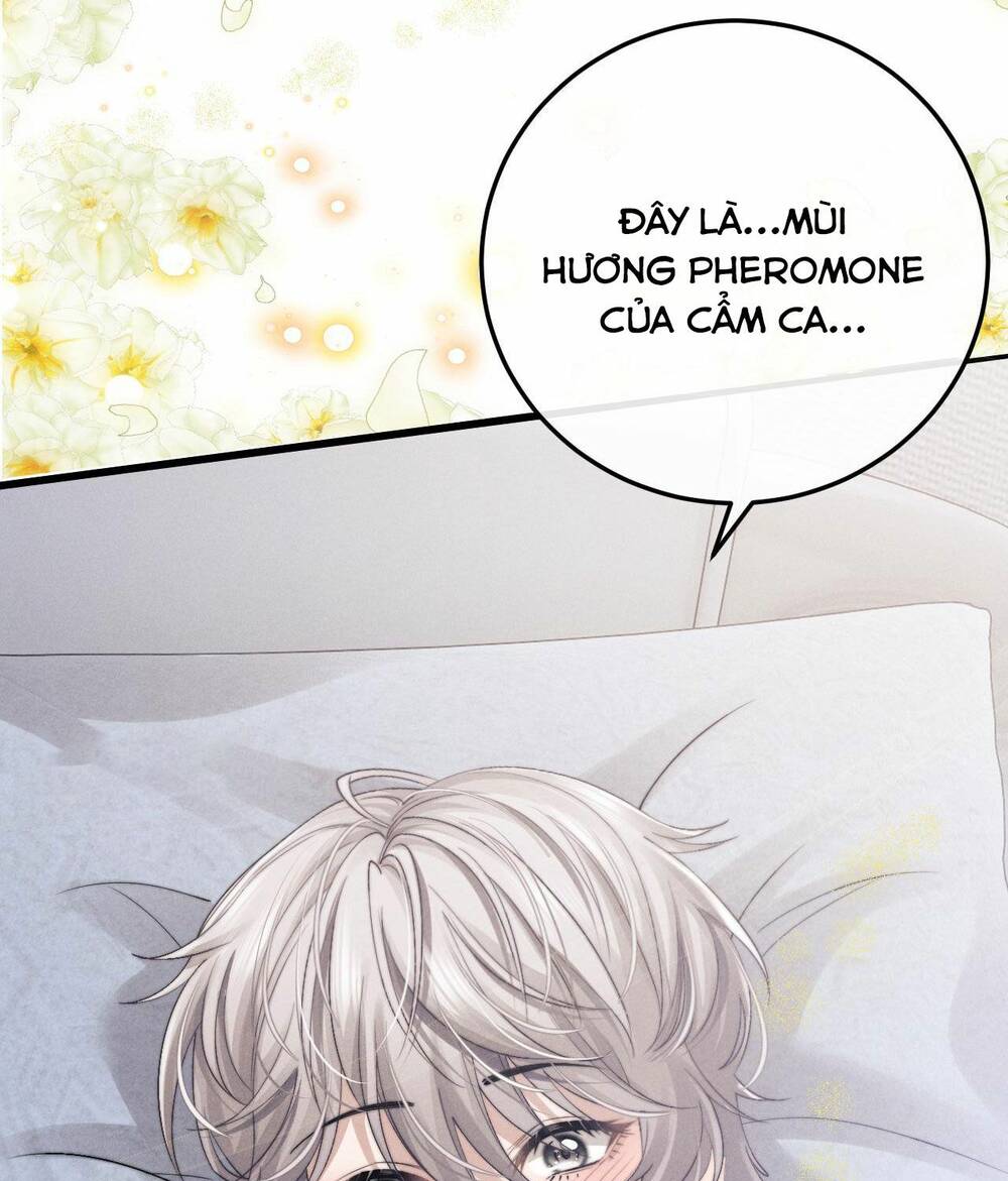 Chấp Sự Thỏ Cụp Tai Chap 10 - Next Chap 11