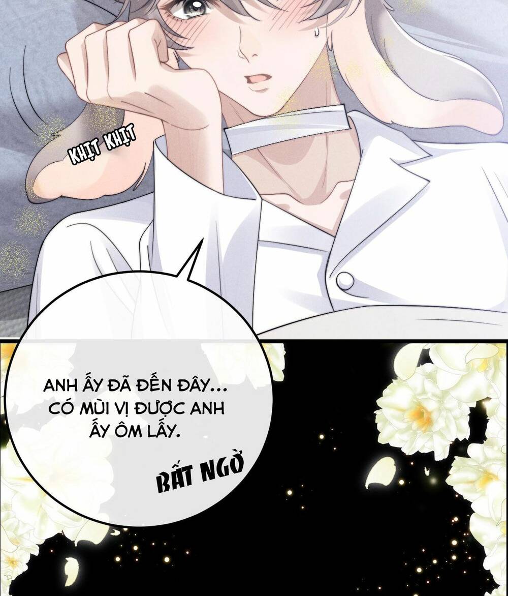 Chấp Sự Thỏ Cụp Tai Chap 10 - Next Chap 11