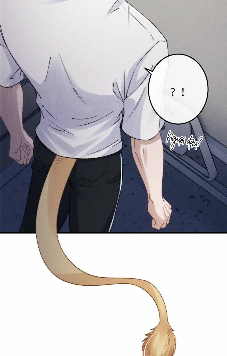 Chấp Sự Thỏ Cụp Tai Chap 14 - Next Chap 15