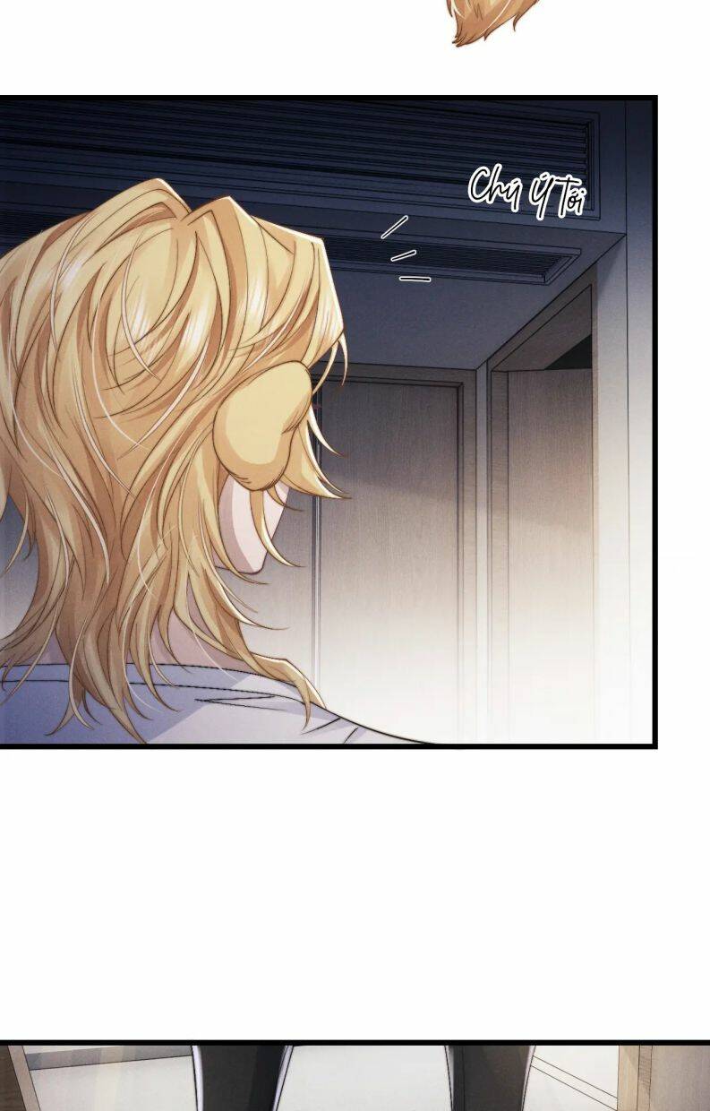 Chấp Sự Thỏ Cụp Tai Chap 14 - Next Chap 15