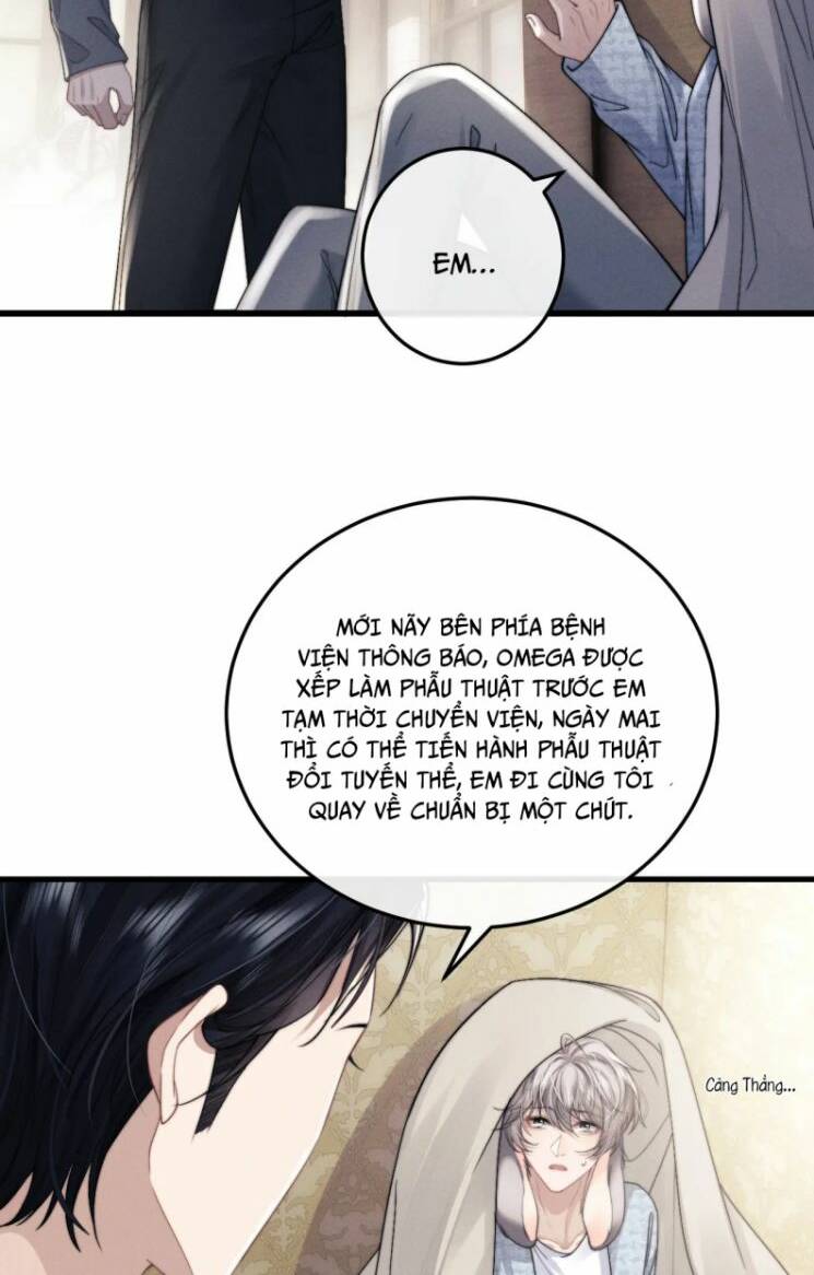 Chấp Sự Thỏ Cụp Tai Chap 17 - Next Chap 18