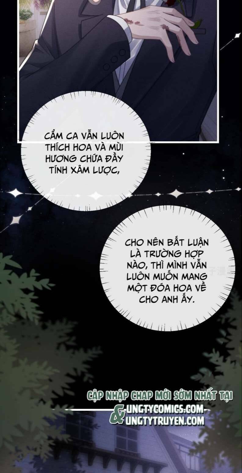 Chấp Sự Thỏ Cụp Tai Chap 18 - Next Chap 19