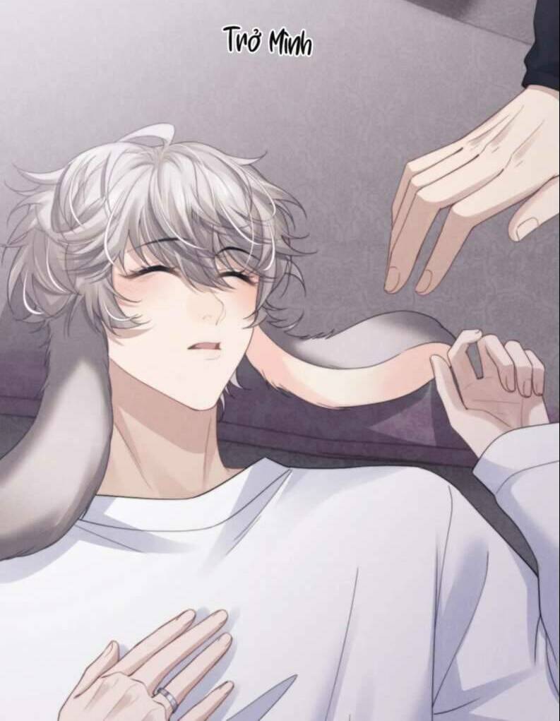 Chấp Sự Thỏ Cụp Tai Chap 19 - Next Chap 20