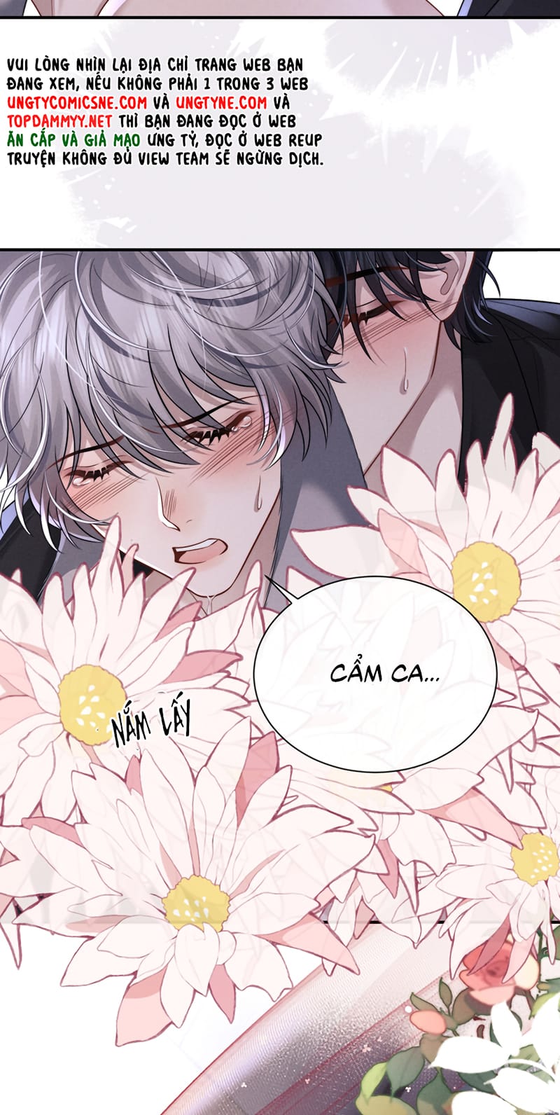 Chấp Sự Thỏ Cụp Tai Chap 194 - Next Chap 195