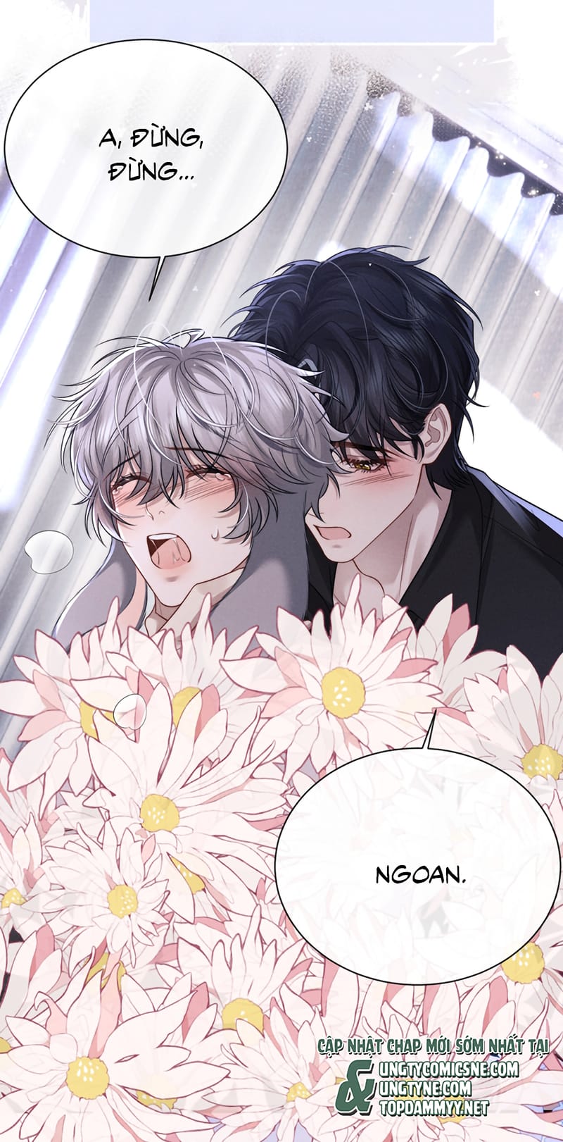 Chấp Sự Thỏ Cụp Tai Chap 194 - Next Chap 195