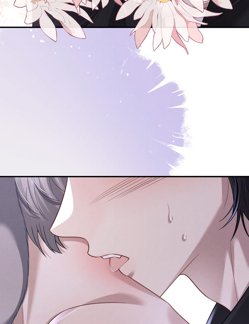 Chấp Sự Thỏ Cụp Tai Chap 194 - Next Chap 195