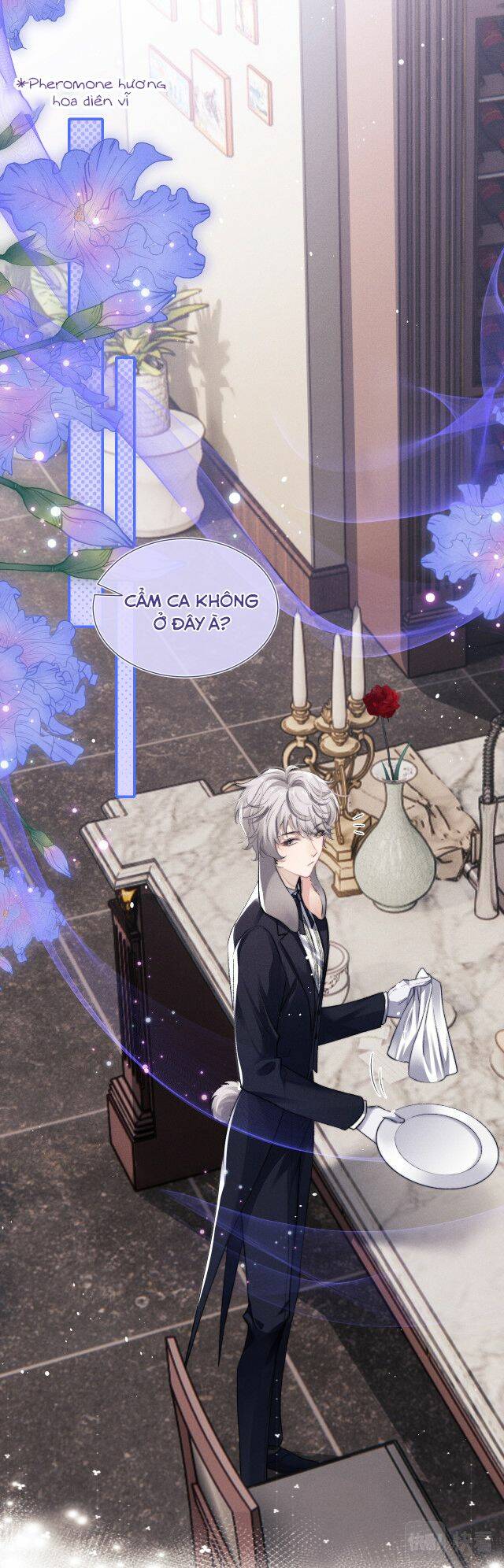 Chấp Sự Thỏ Cụp Tai Chap 2 - Next Chap 3